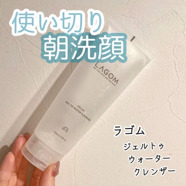𓊆 LAGOM : ラゴム ジェルトゥウォーター クレンザー  𓊇

韓国のブランド LAGOMの朝洗顔

香り…柑橘+ハーブっぽい

去年現地で購入して、朝ヘビロテしてました！
今は泡で出る洗顔にハマ