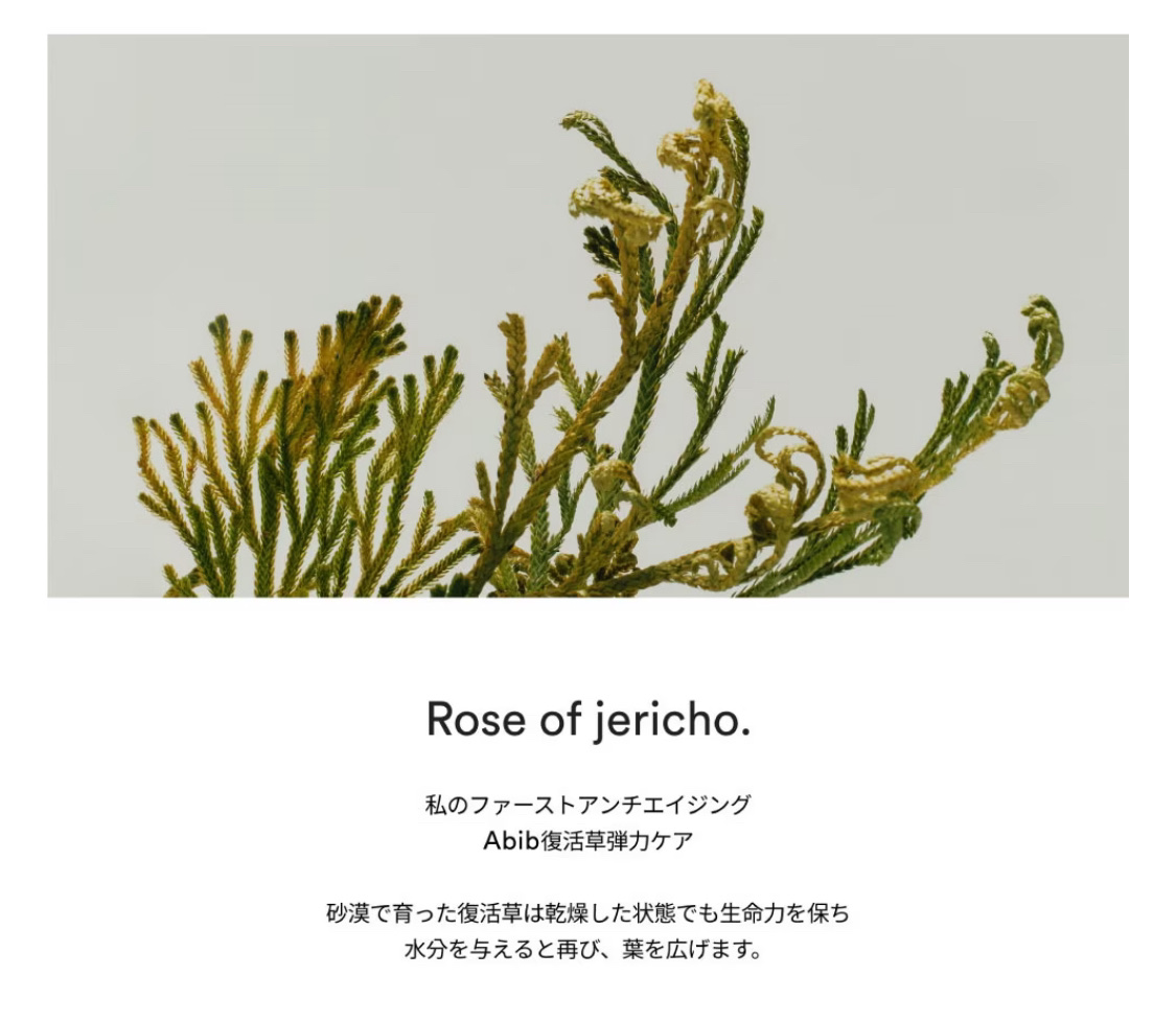 復活草ビフィダセラムファーミングドロップ/Abib /美容液を使ったクチコミ（3枚目）