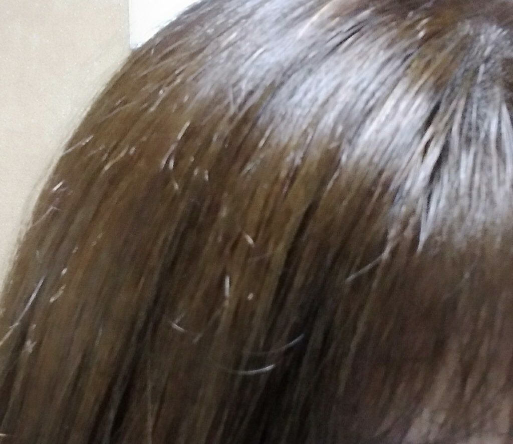 ホイップヘアカラー クラシックアッシュ/ビューティラボ/ヘアカラーを使ったクチコミ（2枚目）