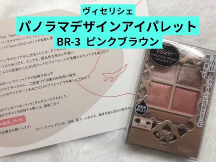 パノラマデザイン アイパレット/Visée/アイシャドウパレットを使ったクチコミ(2枚目)