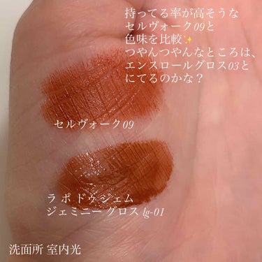 gemini lip gloss lg-01 orange brown/la peau de gem./リップグロスを使ったクチコミ（2枚目）