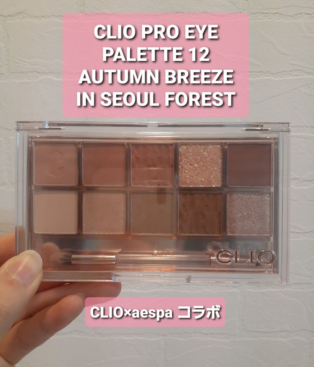 プロ アイ パレット/CLIO/アイシャドウパレットを使ったクチコミ(1枚目)