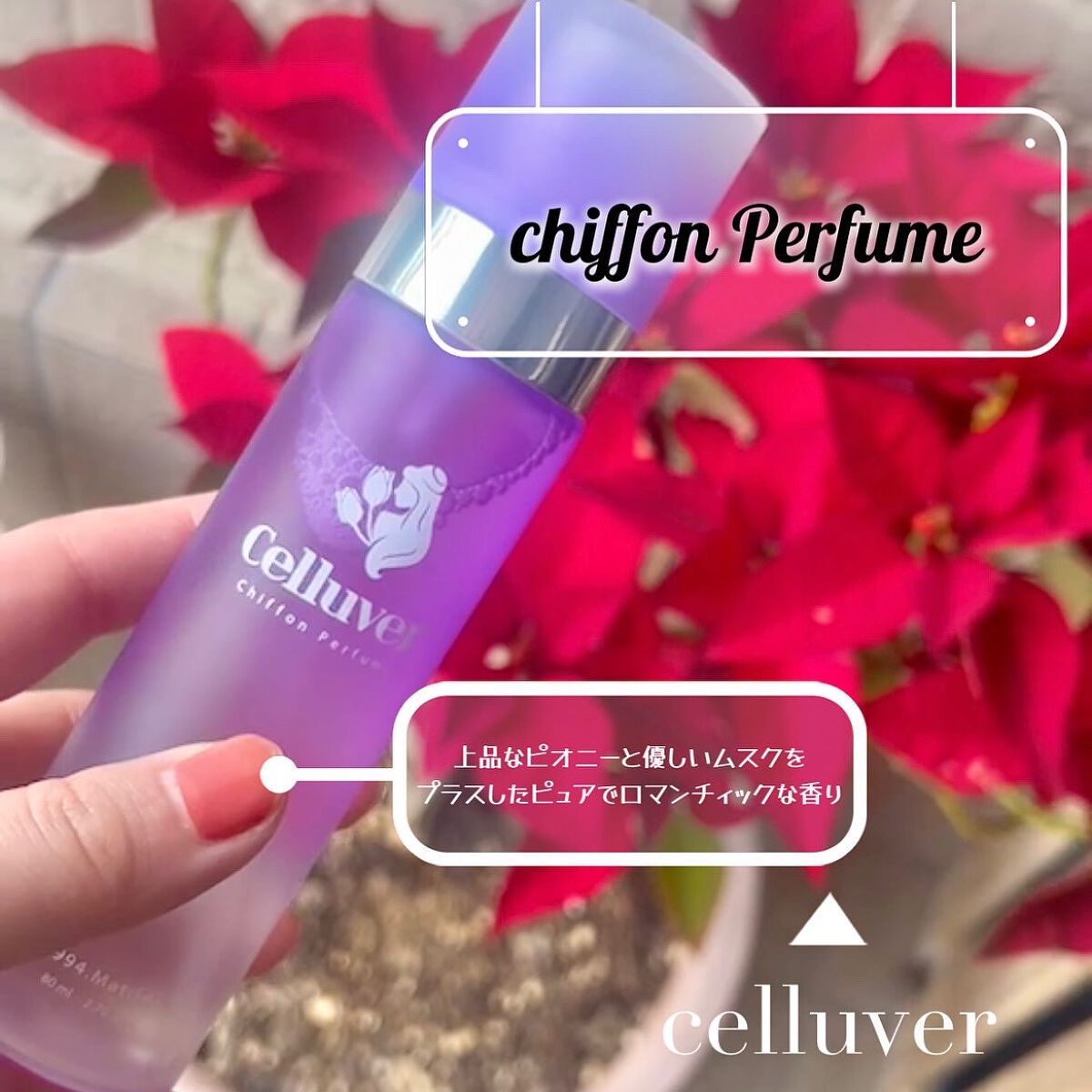 シフォンパフューム /CELLUVER/香水(レディース)を使ったクチコミ(1枚目)