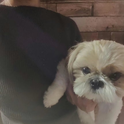 ひろちゃん on LIPS 「cocaお気に入りのお店こないだこの2点購入選ぶのは、いつもモ..」(5枚目)