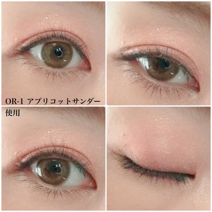 エレクトリックショックアイズ /KATE/アイシャドウパレットを使ったクチコミ(5枚目)