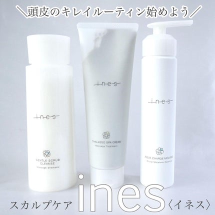 ジェントル スクラブ クレンズ/ines/市販シャンプーを使ったクチコミ(1枚目)