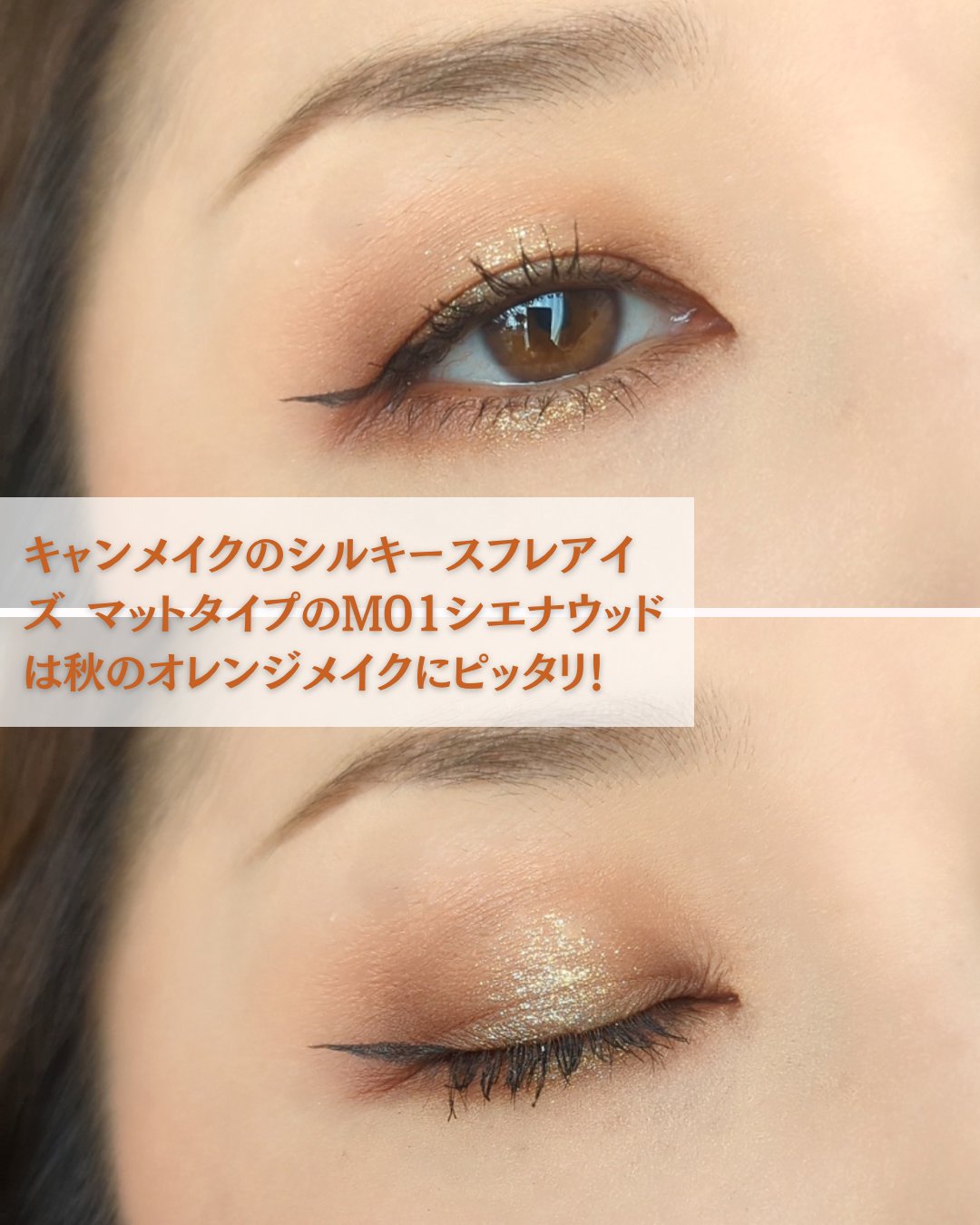 シルキースフレアイズ（マットタイプ）/キャンメイク/アイシャドウパレットを使ったクチコミ（3枚目）