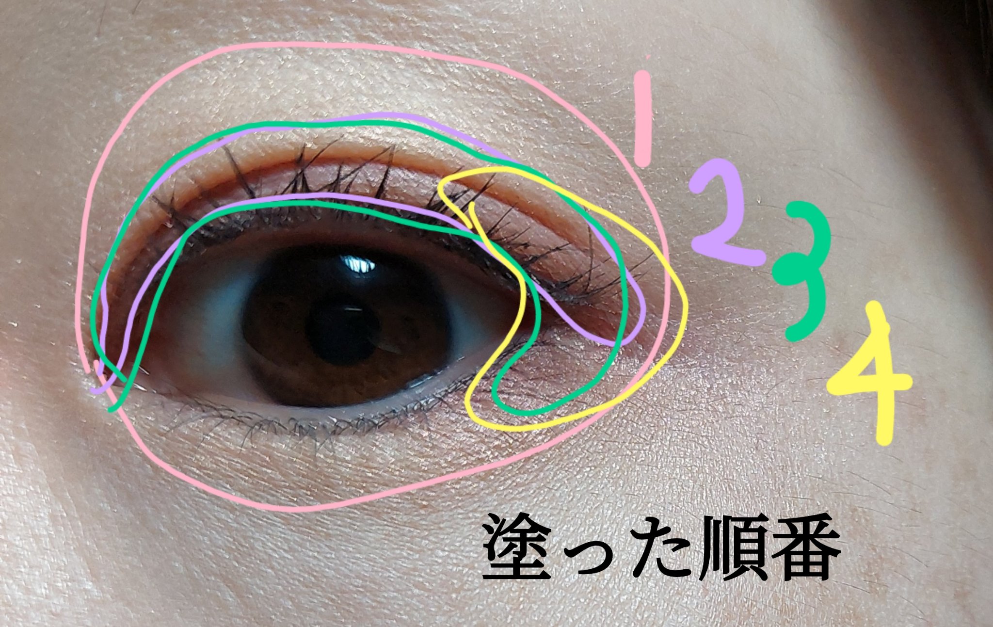 【旧】ディオールショウ サンク クルール （スプリング コレクション 2024 限定品）/Dior/アイシャドウを使ったクチコミ（3枚目）