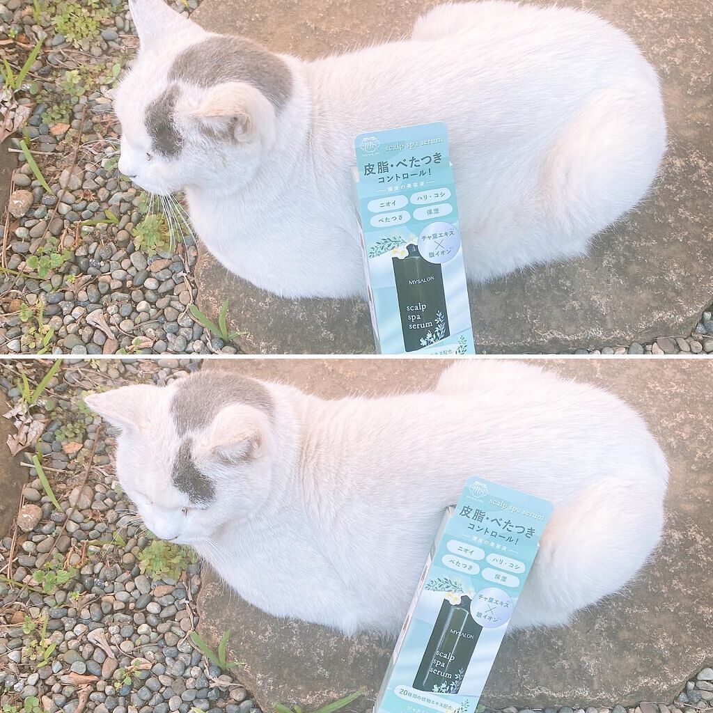 スキャルプスパセラム/マイサロン/頭皮ローションを使ったクチコミ（1枚目）