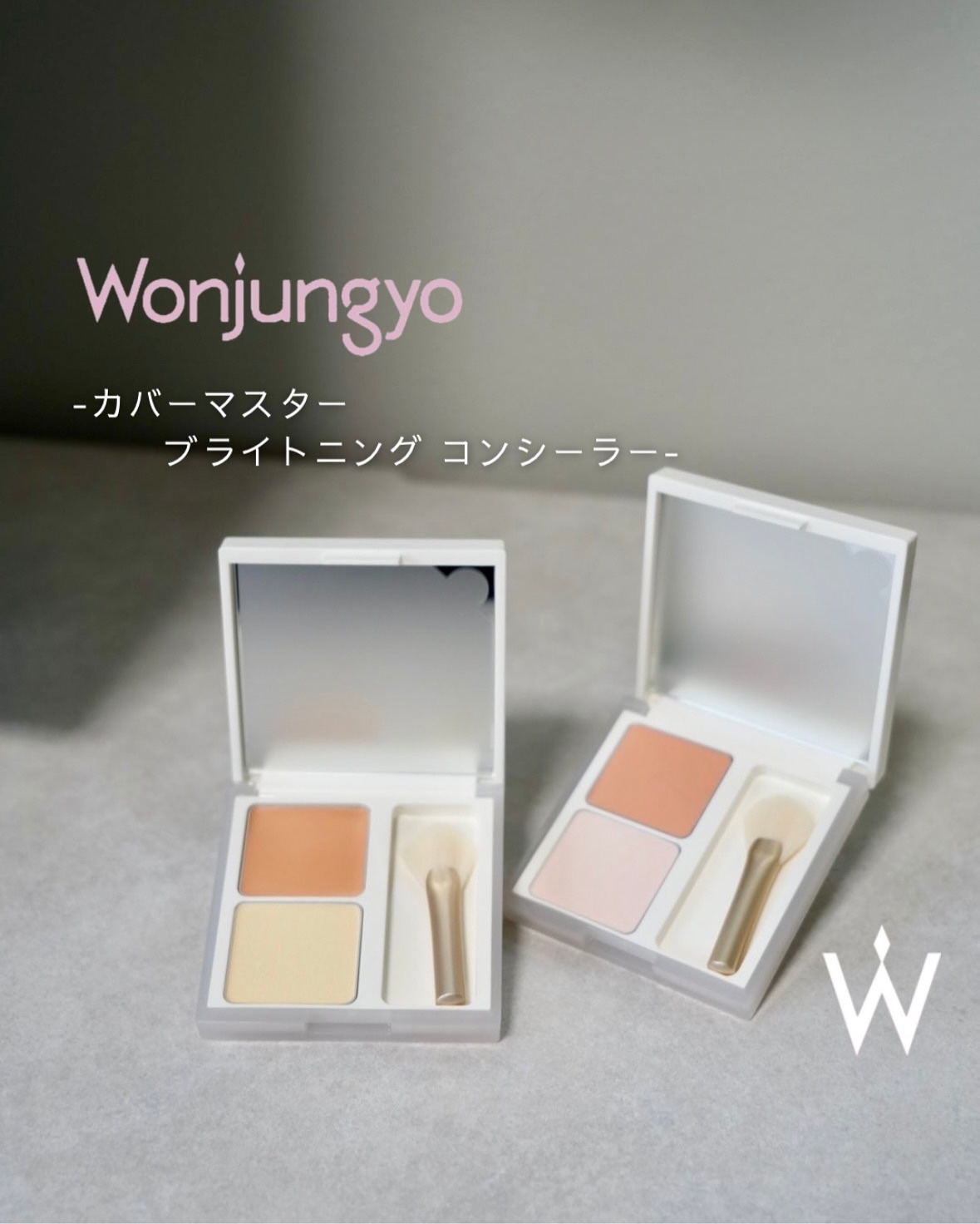 ウォンジョンヨ　カバーマスター ブライトニングコンシーラー/Wonjungyo/パレットコンシーラーを使ったクチコミ（1枚目）
