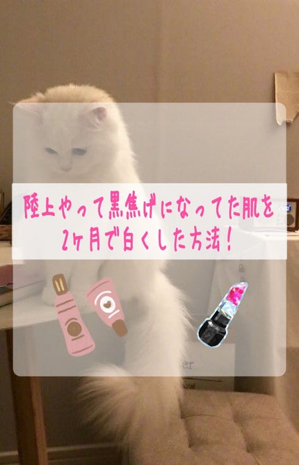 ハトムギ化粧水(ナチュリエ スキンコンディショナー R )/ナチュリエ/化粧水を使ったクチコミ(1枚目)