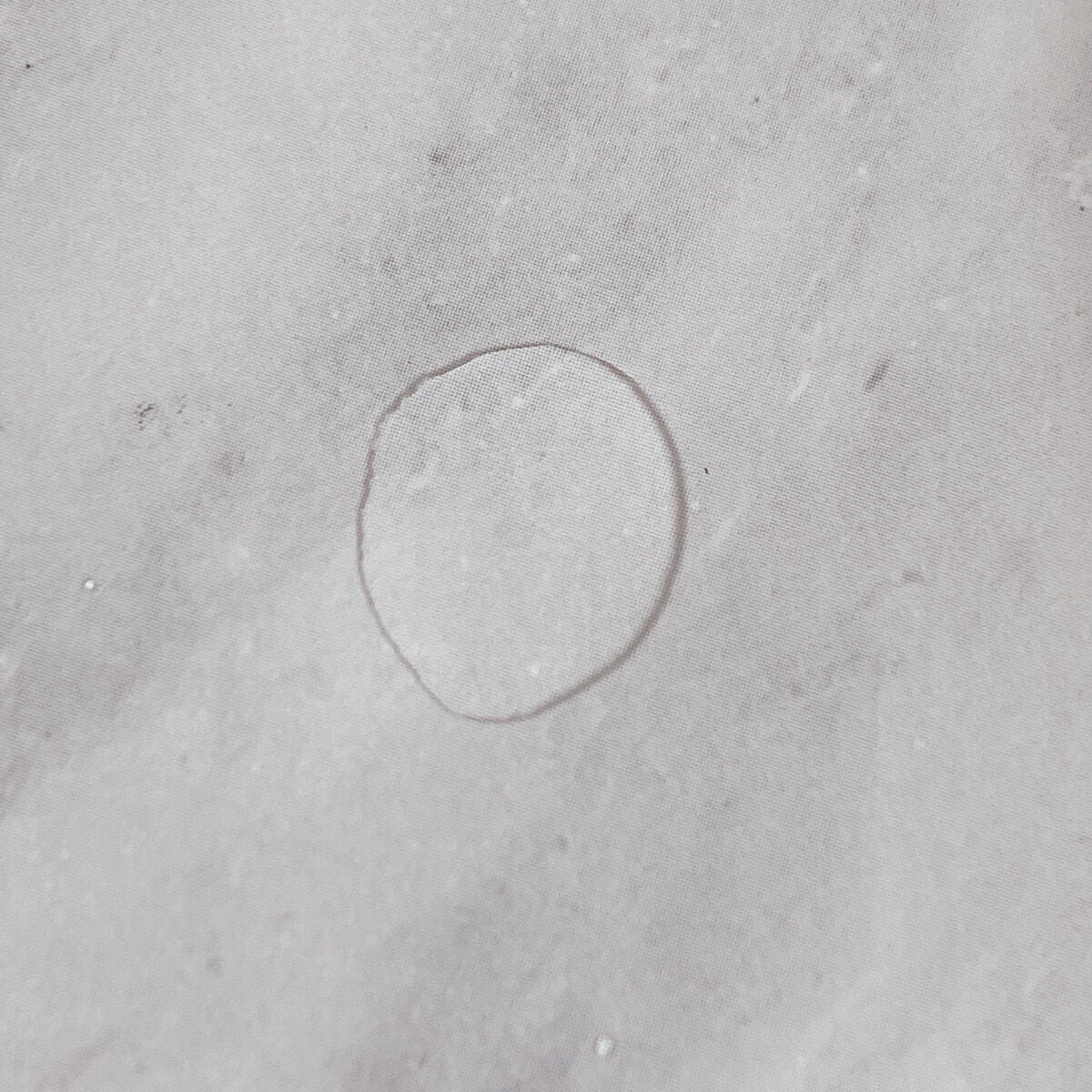 スポンジクリーナーN 198 (L)/SHISEIDO/その他化粧小物を使ったクチコミ(2枚目)