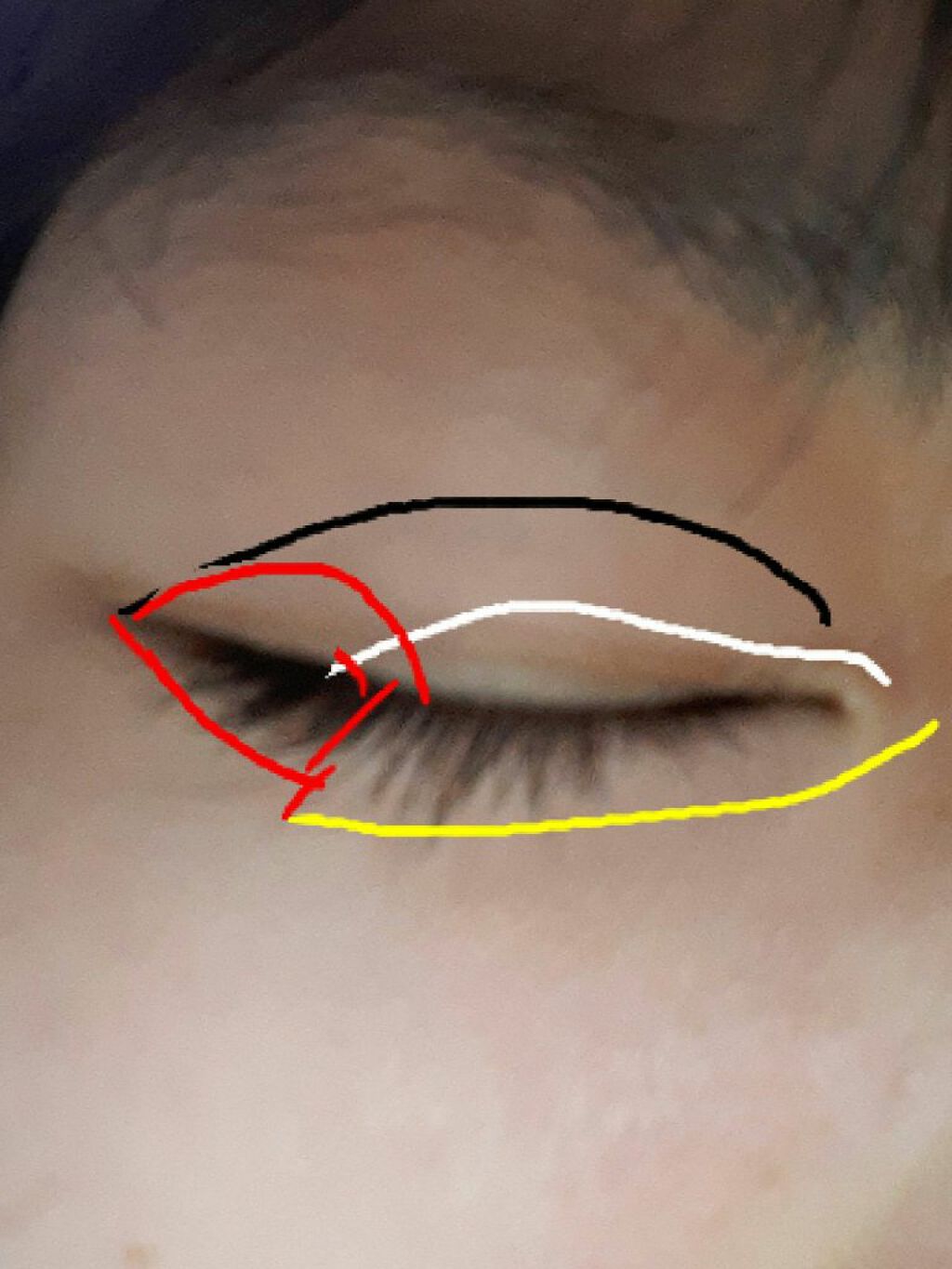 ムードアイシャドウパレット/GENE TOKYO/アイシャドウパレットを使ったクチコミ(2枚目)