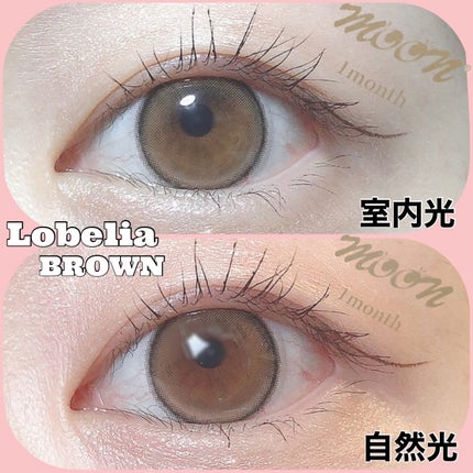 Lobelia(ロベリア)/カラコンムーン/カラーコンタクトレンズを使ったクチコミ(3枚目)