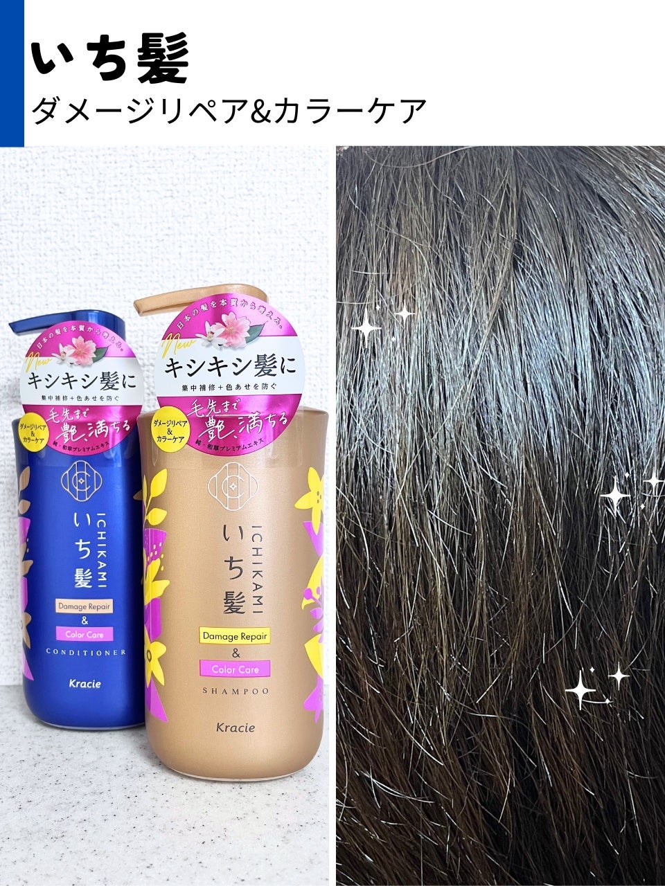 ãã¡ãŒãžãªãã¢ïŒã«ã©ãŒã±ã¢ ã·ã£ã³ããŒ/ã³ã³ãã£ã·ã§ããŒ/ãã¡é«ª/åžè²©ã·ã£ã³ããŒã䜿ã£ãã¯ãã³ãïŒ5æç®ïŒ