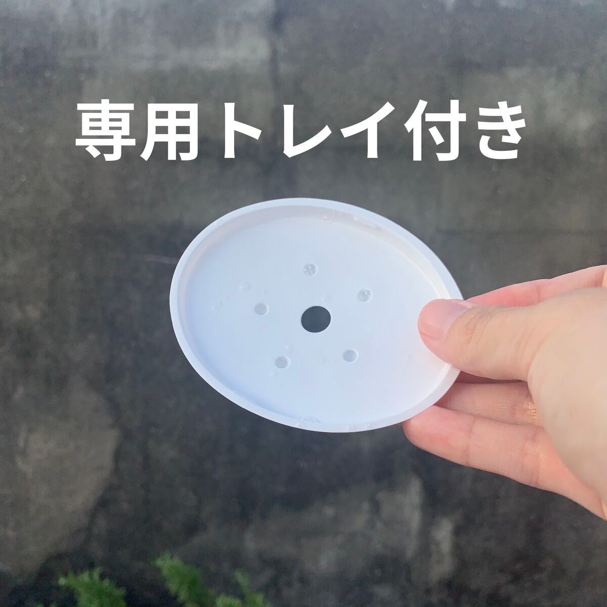 ヴィオソフトウォッシュ/神戸トランスパラン (せっけん・クレンジング)/その他を使ったクチコミ(7枚目)