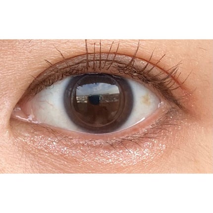 シャドウパレット/dasique/アイシャドウパレットを使ったクチコミ(8枚目)