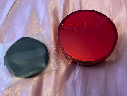 プロテーラービーベルベットカバークッション/espoir/クッションファンデーションを使ったクチコミ(4枚目)