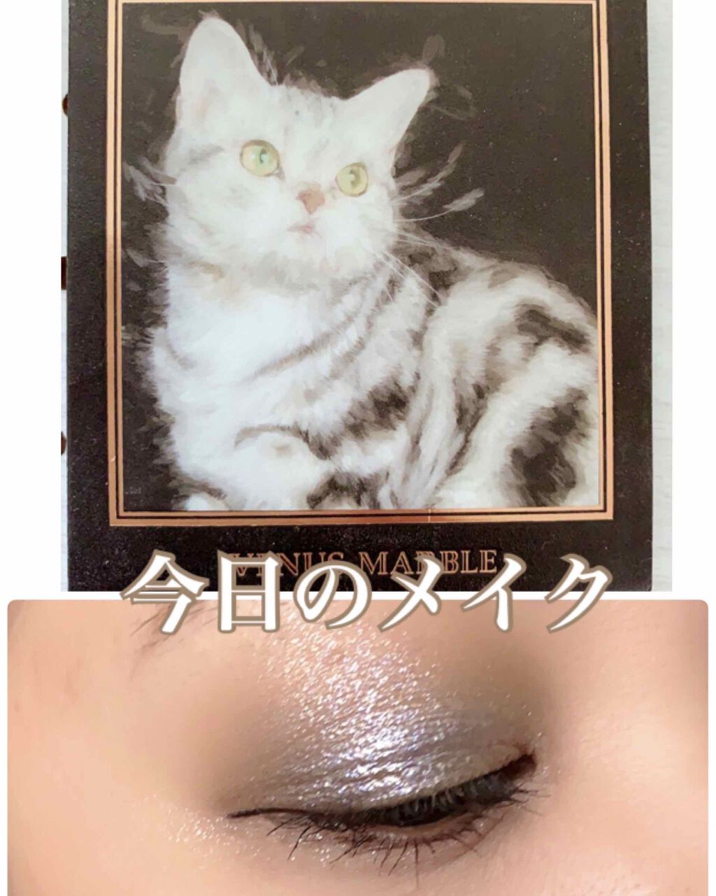 Venus Marble アイシャドウキャットシリーズ/Venus Marble/アイシャドウパレットを使ったクチコミ(1枚目)