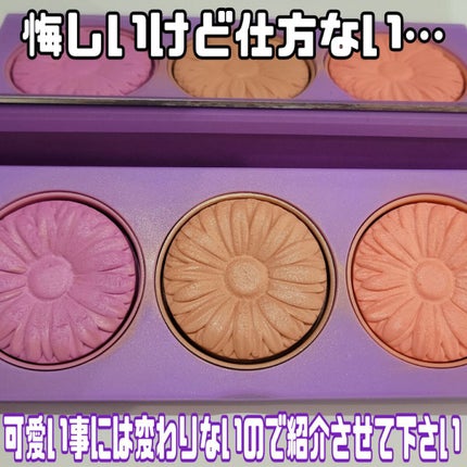 クリニーク チーク ポップ パレット 21/CLINIQUE/パウダーチークを使ったクチコミ(4枚目)