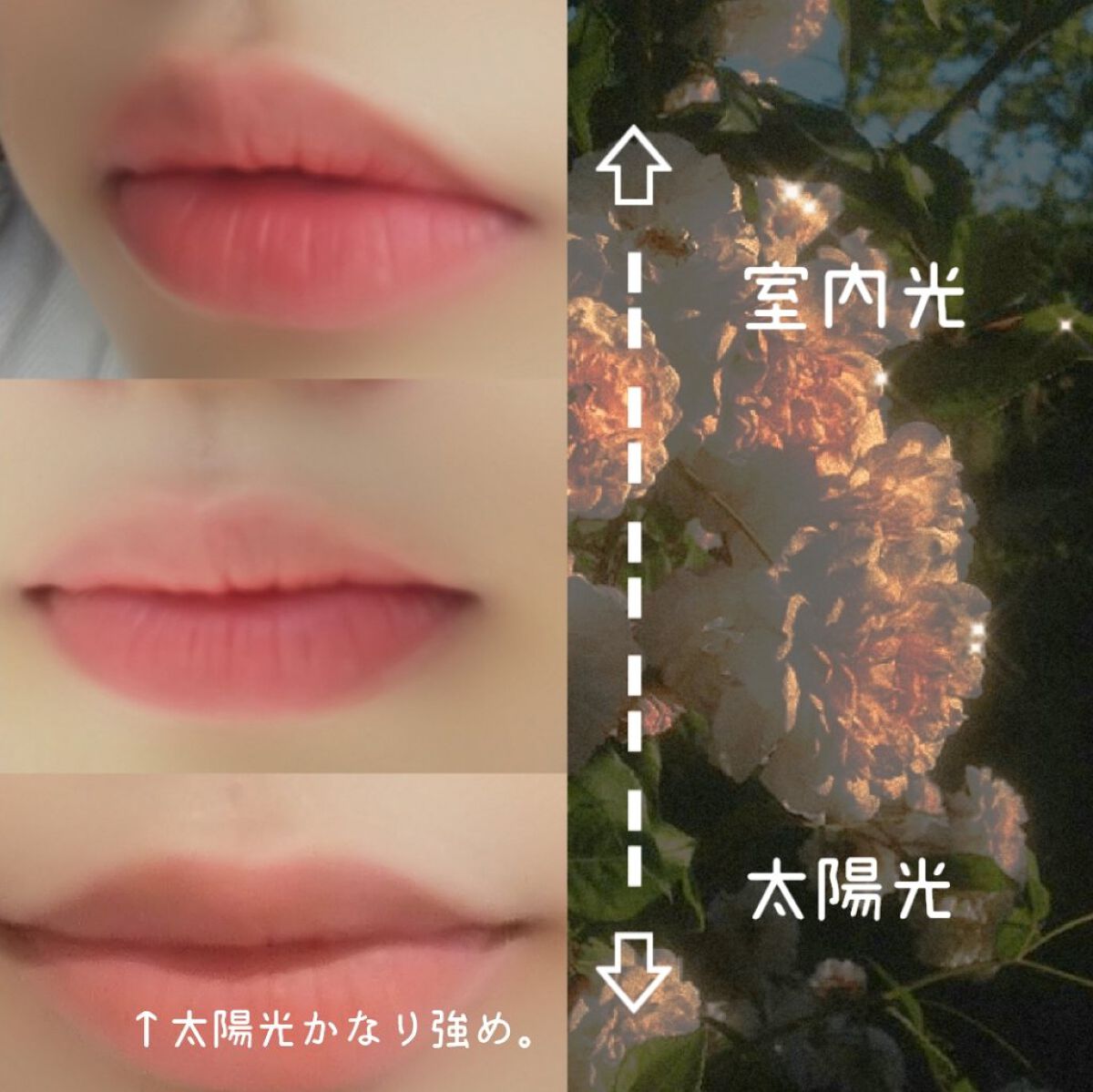 フィクシングティント/ETUDE/リップティントを使ったクチコミ（3枚目）