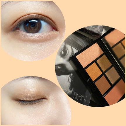 アイ & チーク コンパクトアディクション “ストーリー オブ ライフ” 102 Deep Roots/ADDICTION/アイシャドウパレットを使ったクチコミ(1枚目)