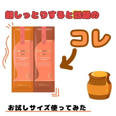 Creamy EXダメージリペアシャンプー1.0/ヘアトリートメント2.0 お試し（シャンプー10ml＋トリートメント10g）/&honey/シャンプー・コンディショナーを使ったクチコミ（1枚目）