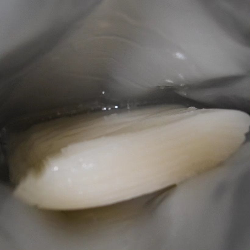 シートマスク ヒト幹細胞×VC200/CICIBELLA/シートマスク・パックを使ったクチコミ(2枚目)