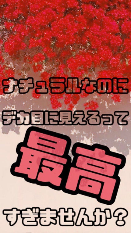 エバーカラーワンデー ナチュラル/エバーカラー/ワンデー(1DAY)カラコンを使ったクチコミ(1枚目)