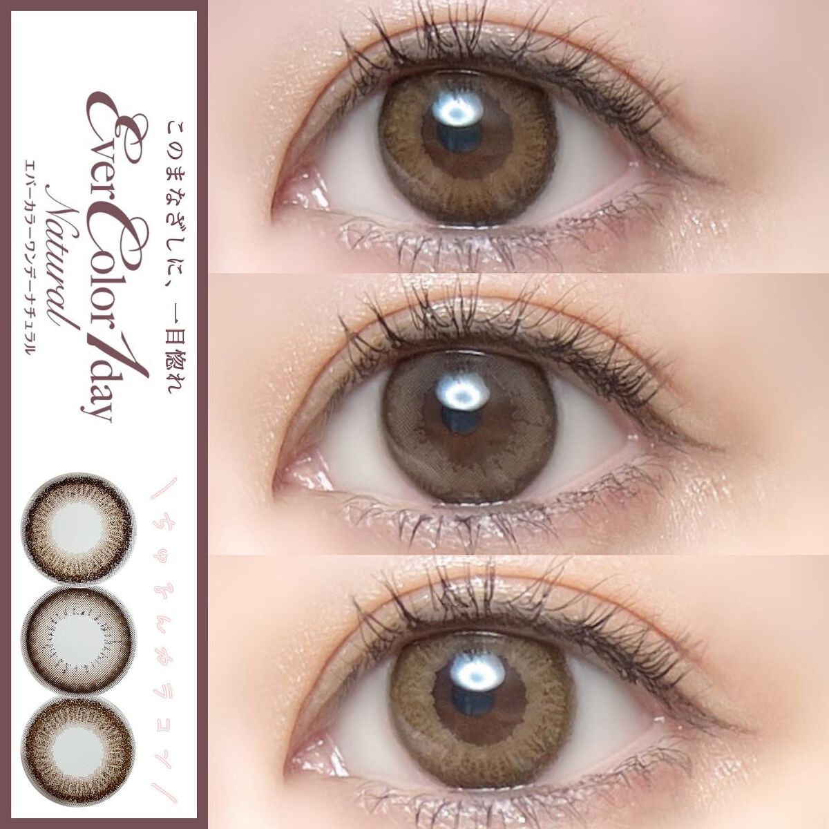 エバーカラーワンデー ナチュラル/エバーカラー/ワンデー(1DAY)カラコンを使ったクチコミ(1枚目)