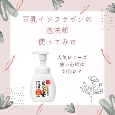 こんにちは！えんまるくんです。
今回は  なめらか本舗薬用泡洗顔
について１ヶ月使ってみたレビューをしていきたいと思います。

まず私の肌スペ
・敏感肌
・乾燥肌

良いとこ ◎
・泡で出てくるポンプな