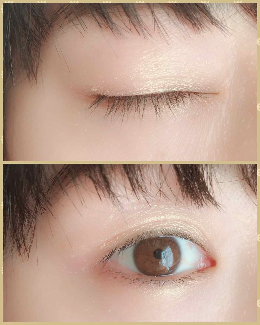 シャドーカスタマイズ/MAJOLICA MAJORCA/単色アイシャドウを使ったクチコミ(3枚目)