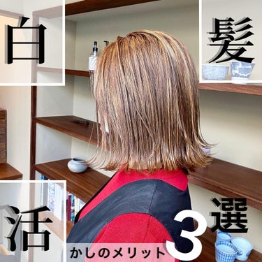 ✂︎タニショーのハイライト劇場✂︎ on LIPS 「白髪活かしハイライトのメリット3選特にこれは！って言うのをまと..」（1枚目）