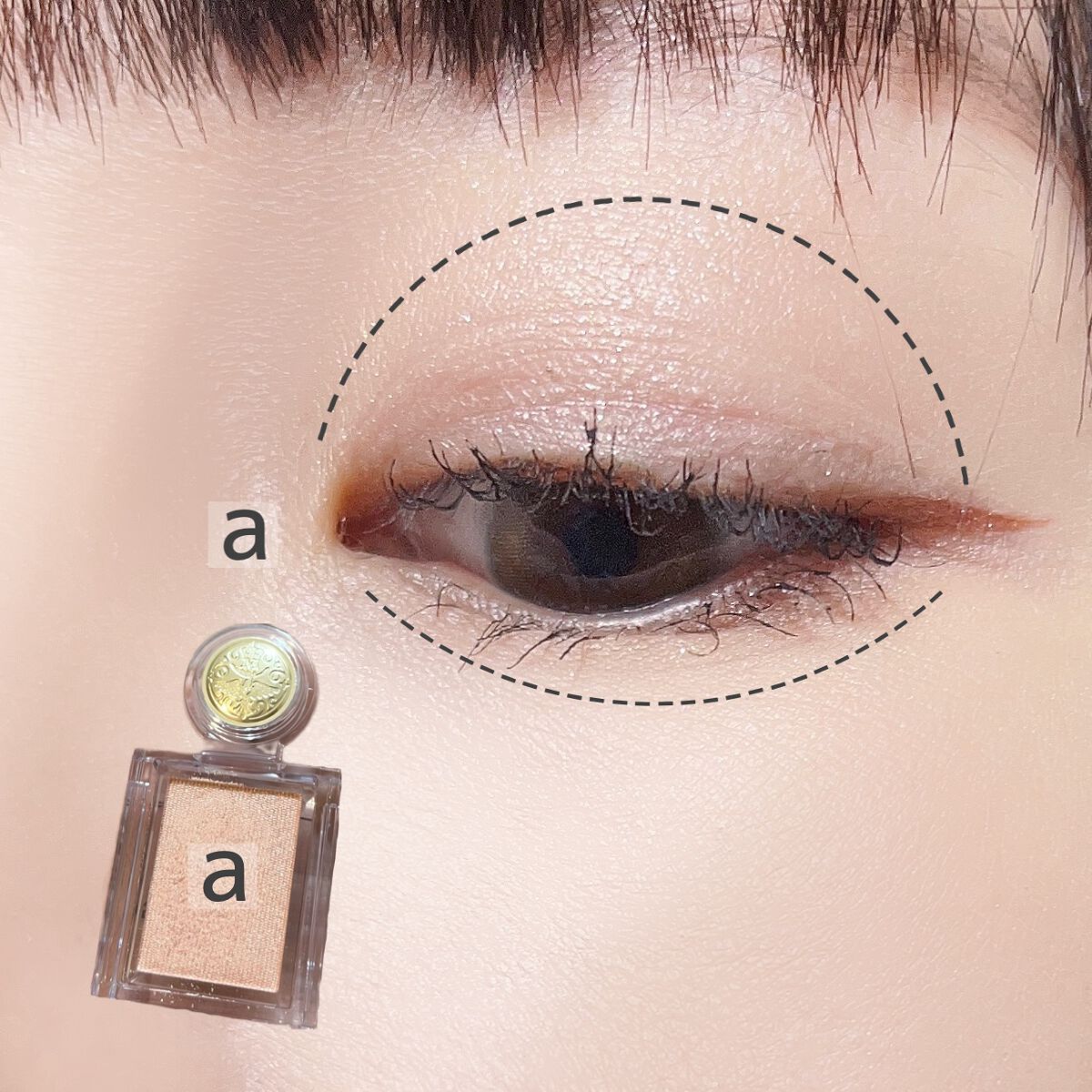 シャドーカスタマイズ/MAJOLICA MAJORCA/単色アイシャドウを使ったクチコミ(2枚目)