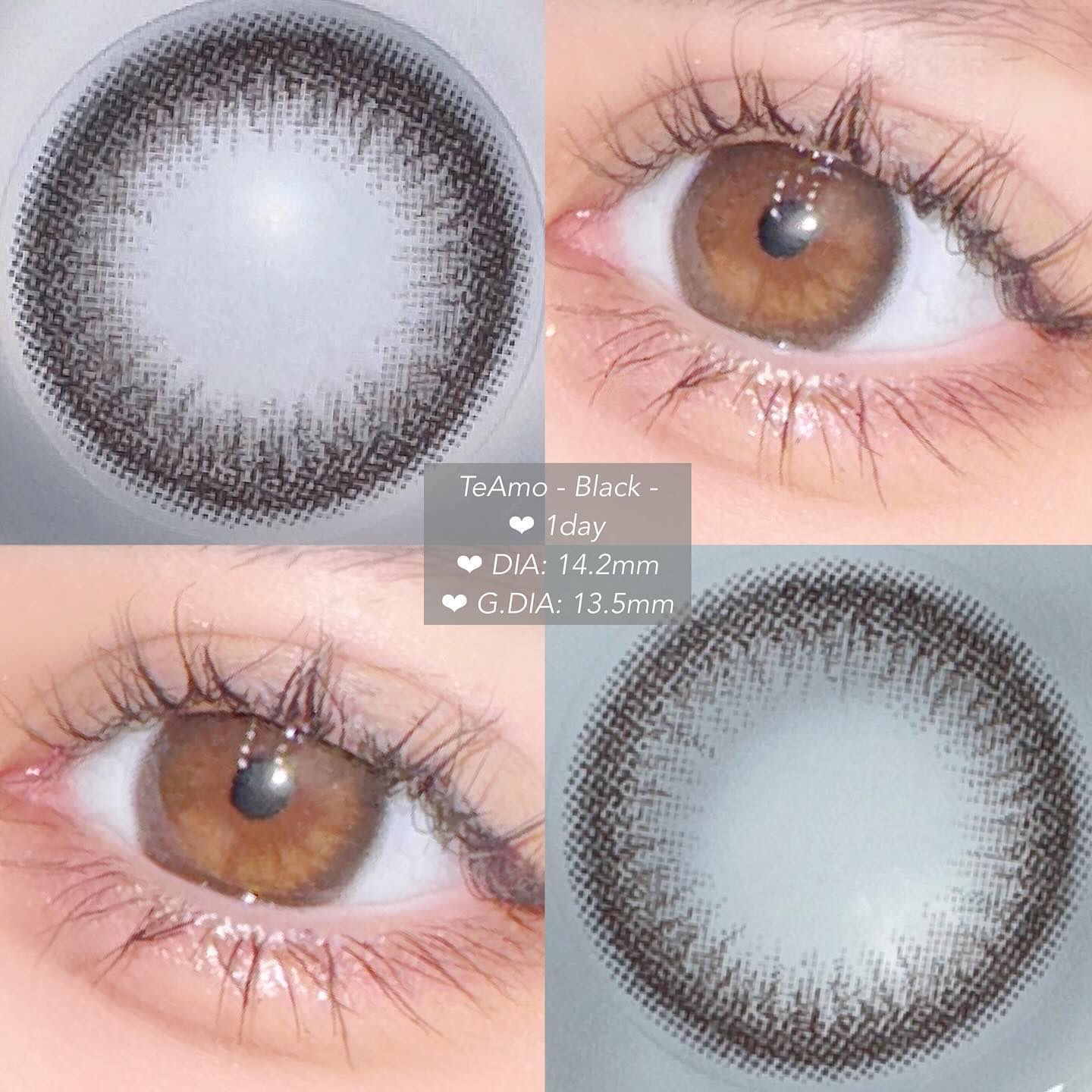 TeAmo 1DAY ブラック/TeAmo/ワンデー（１DAY）カラコンを使ったクチコミ（3枚目）