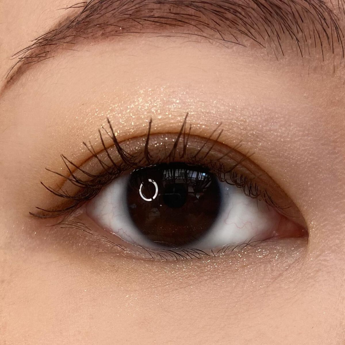 フェイス スタイリスト/SNIDEL BEAUTY/アイシャドウパレットを使ったクチコミ(4枚目)