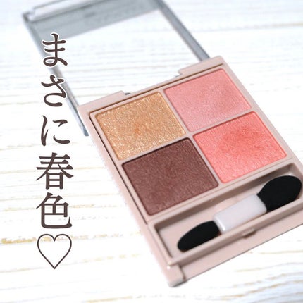 シルキースフレアイズ(マットタイプ)/キャンメイク/アイシャドウパレットを使ったクチコミ(2枚目)