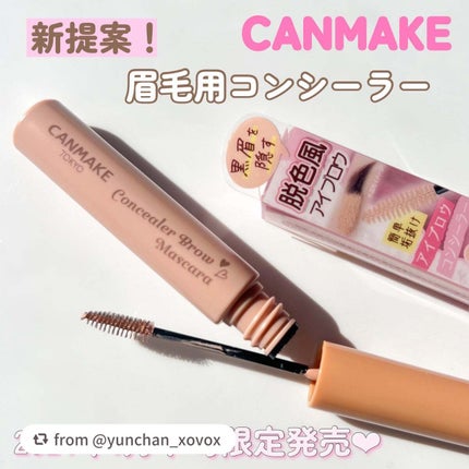 コンシーラーブロウマスカラ/キャンメイク/その他アイブロウを使ったクチコミ(1枚目)