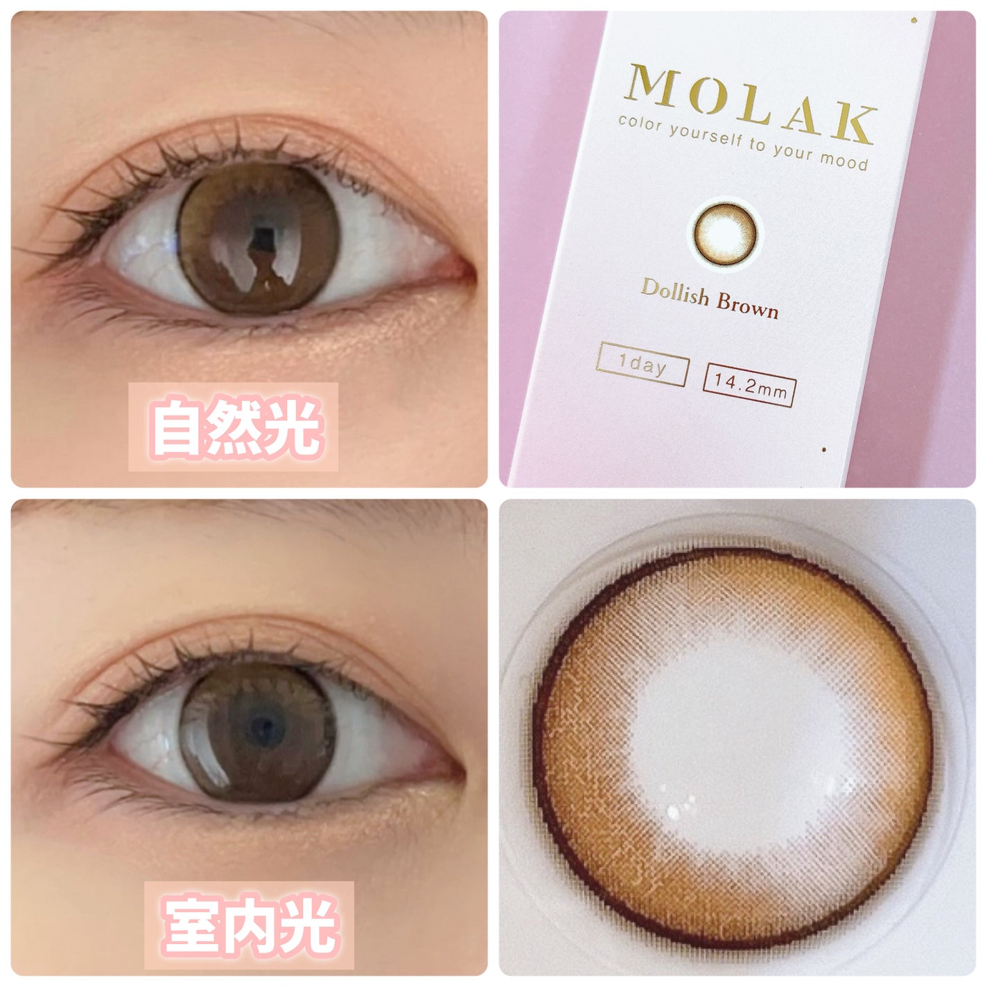 MOLAK 1day/MOLAK/ワンデー(1DAY)カラコンを使ったクチコミ(2枚目)