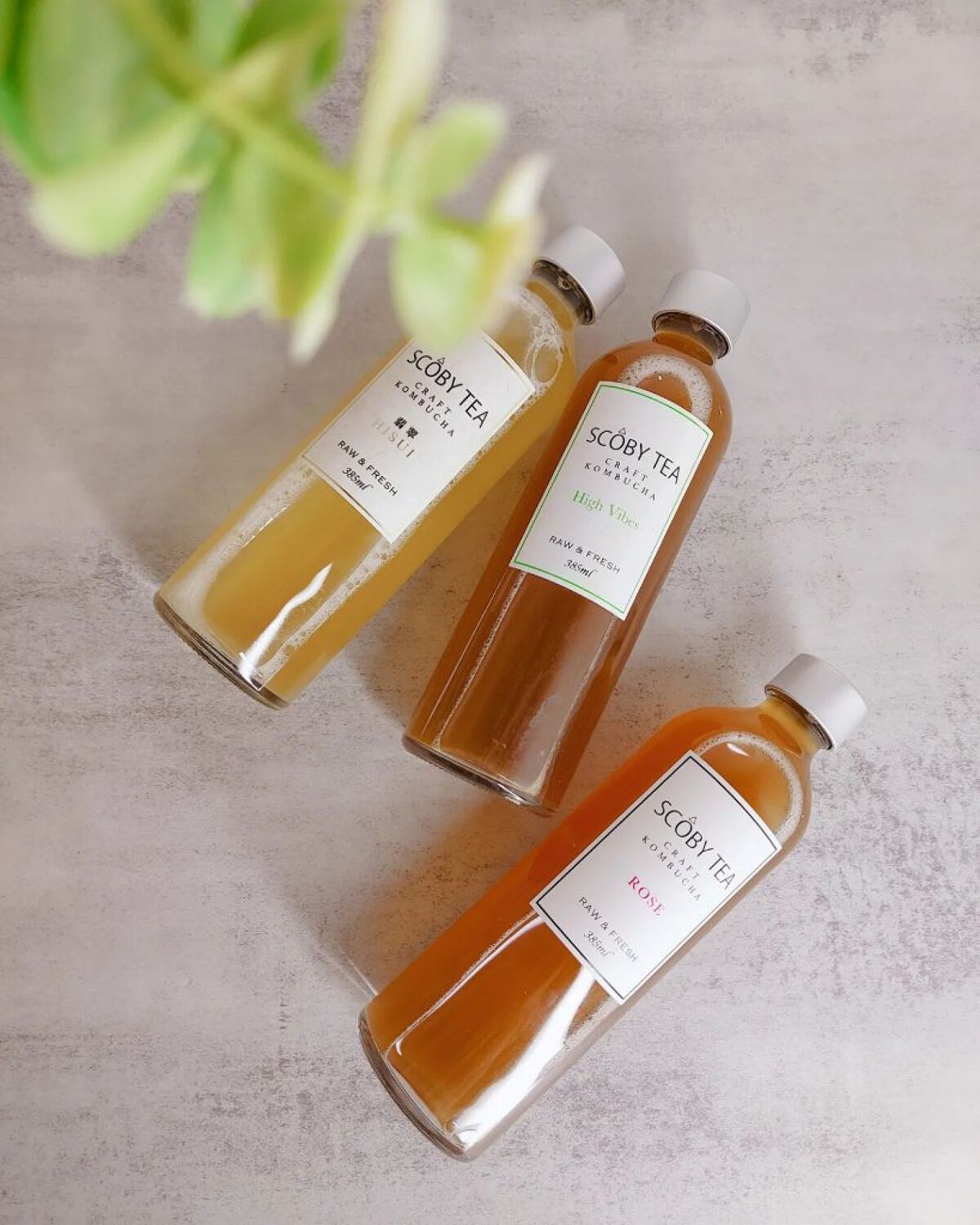 生コンブチャ/SCOBY TEA /コンブチャを使ったクチコミ（1枚目）