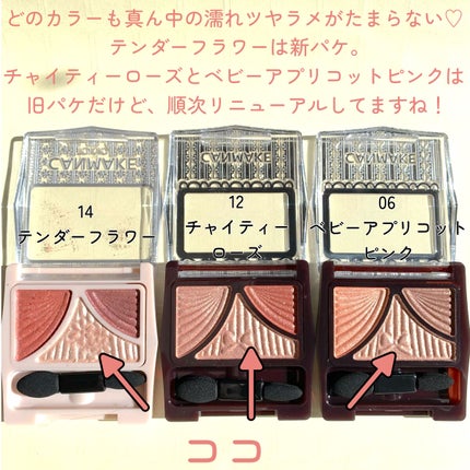 ジューシーピュアアイズ/キャンメイク/アイシャドウパレットを使ったクチコミ(7枚目)