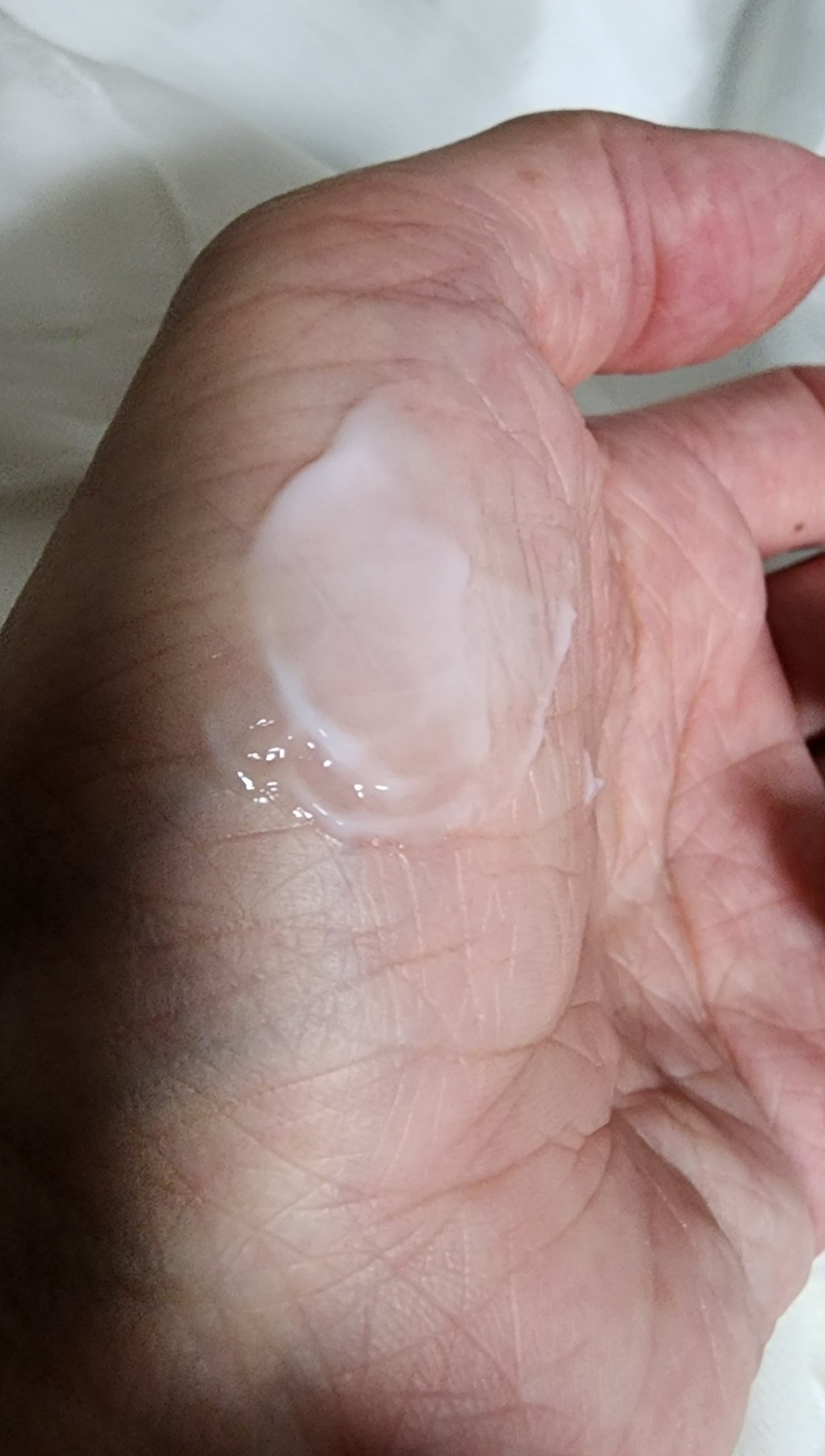 ピュアバクチオールシルククリーム/The Skin Supreme/フェイスクリームを使ったクチコミ（3枚目）