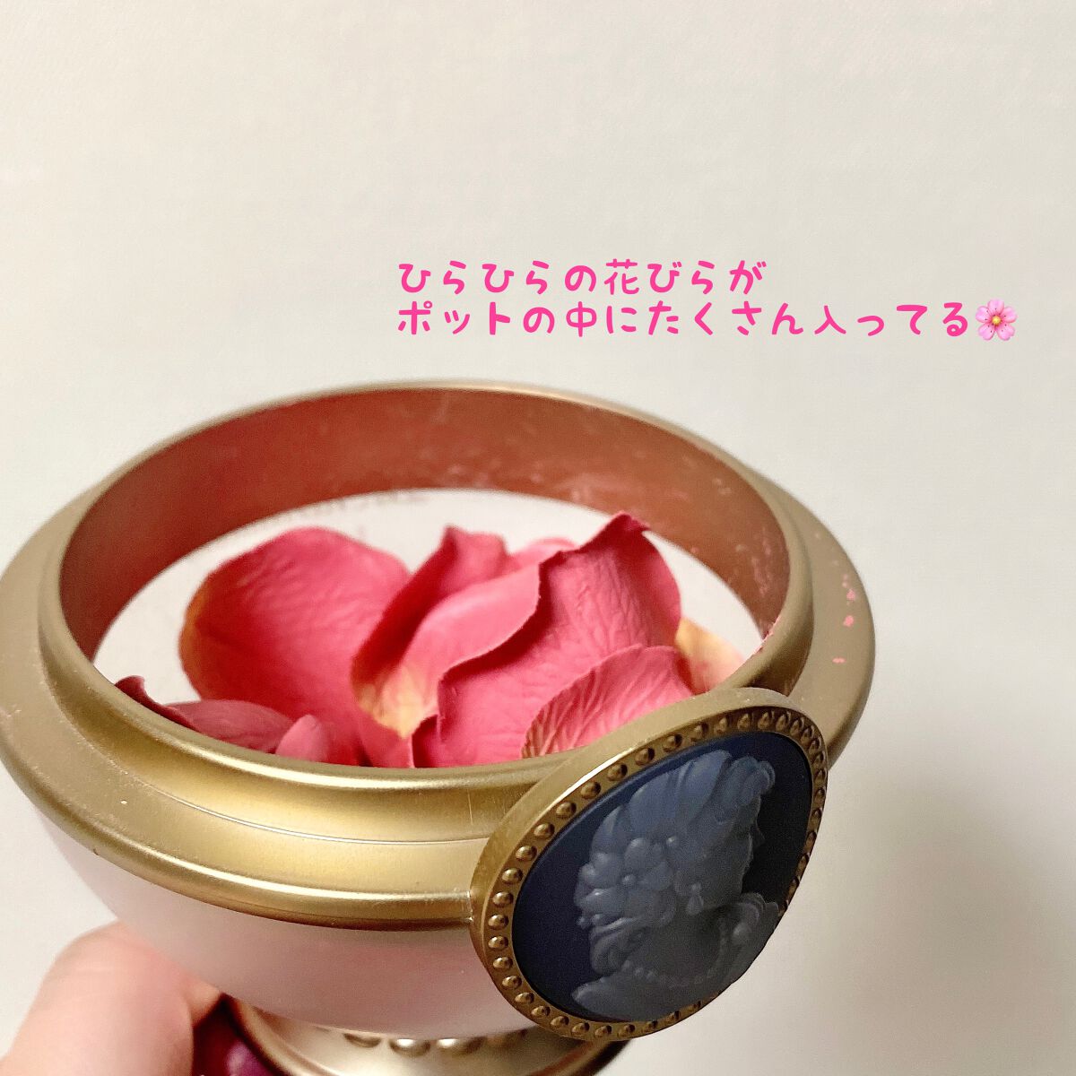 フェイス カラー ローズ ラデュレ/レ・メルヴェイユーズ ラデュレ/パウダーチークを使ったクチコミ(2枚目)