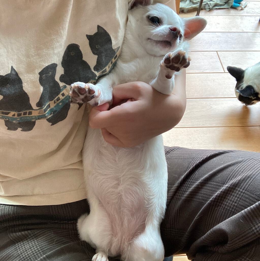 しに子ちゃん on LIPS 「ギガマックなんてペロリですわ〜〜〜!!!!!と思ったけど普通に..」(3枚目)