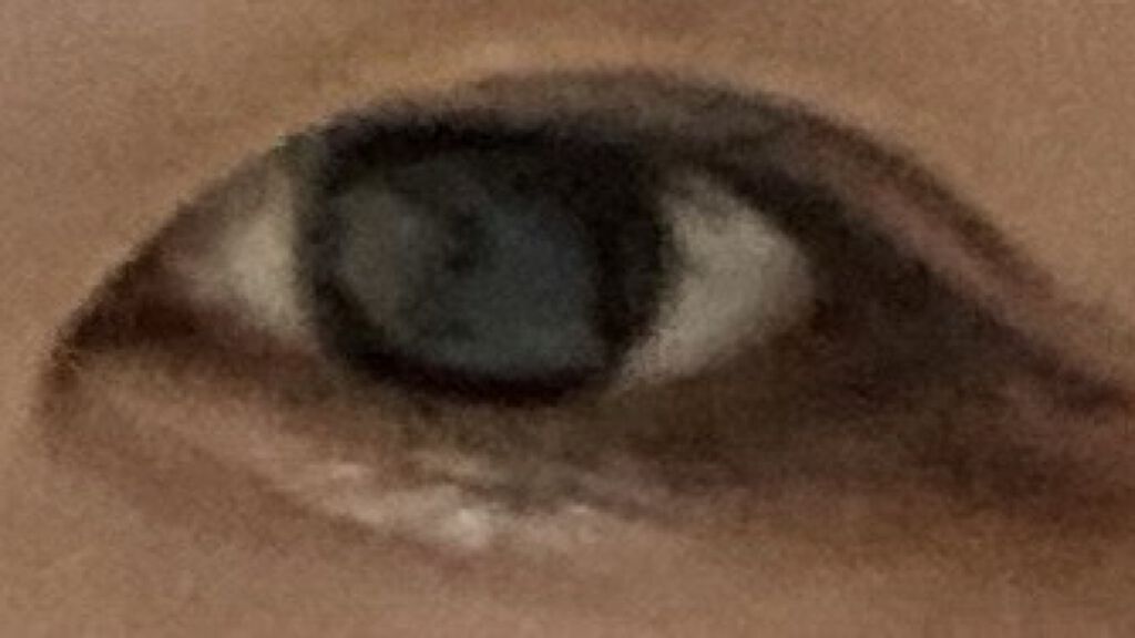 シルキースフレアイズ（マットタイプ）/キャンメイク/アイシャドウパレットを使ったクチコミ（1枚目）