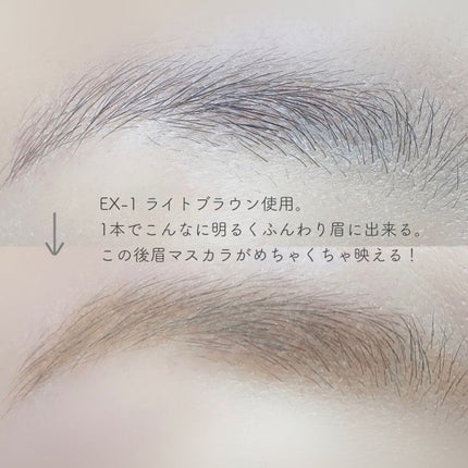 2カラーグラデーションブロウペンシル/KATE/アイブロウペンシルを使ったクチコミ(4枚目)