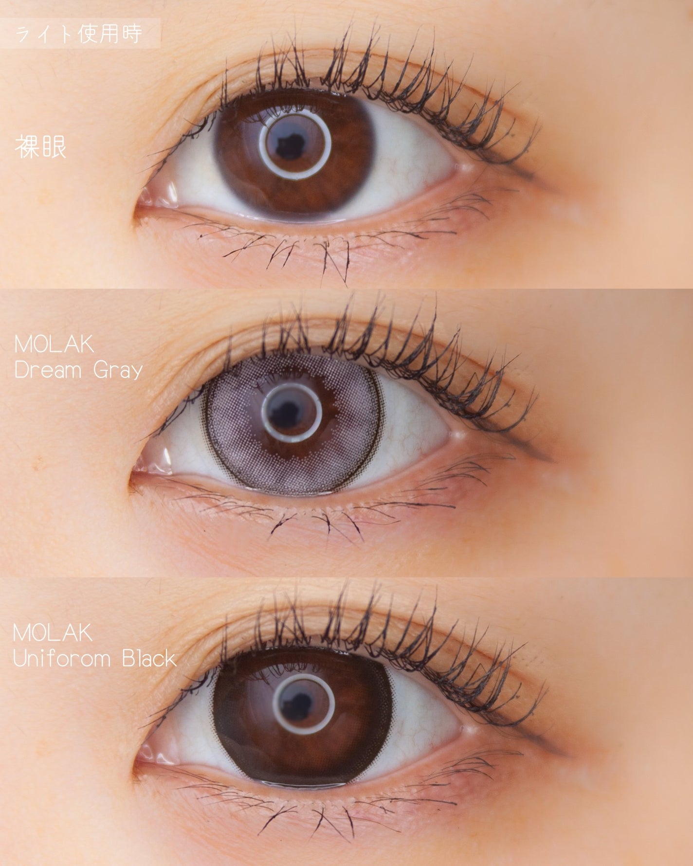 MOLAK 1day/MOLAK/ワンデー(1DAY)カラコンを使ったクチコミ(4枚目)