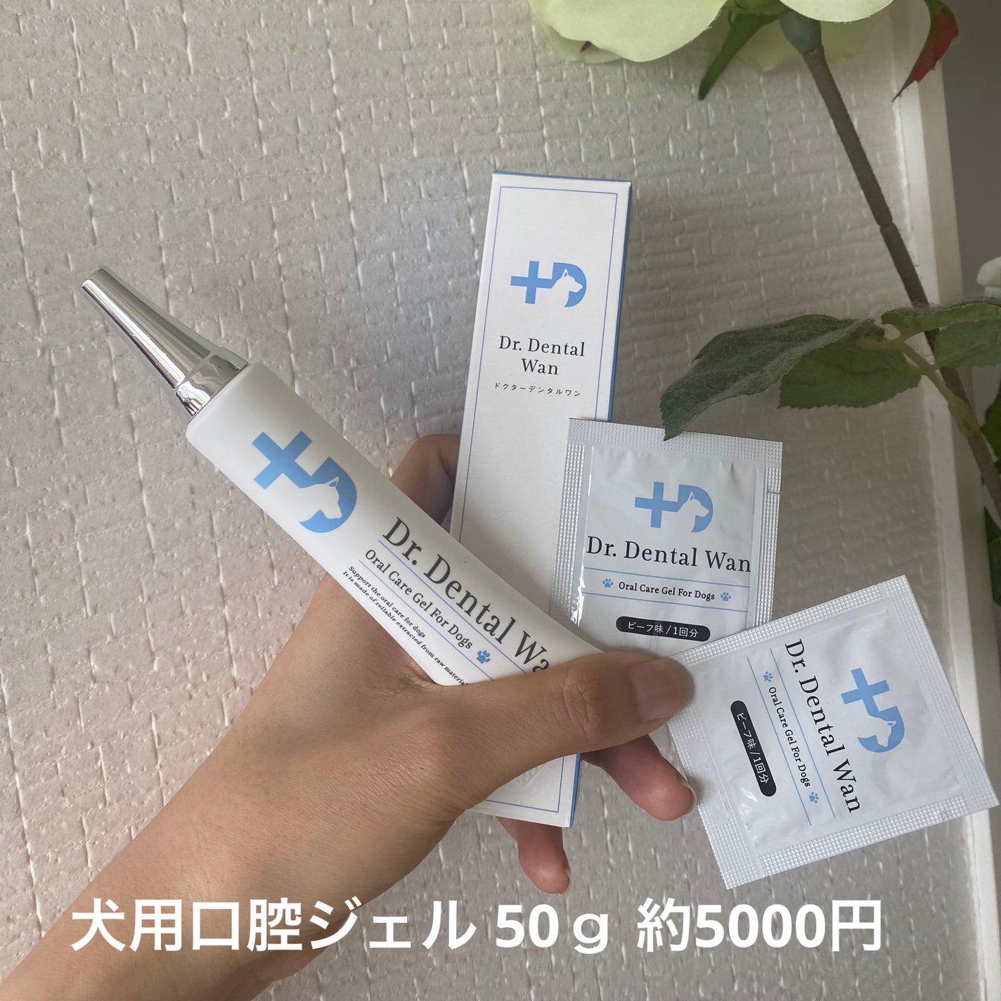 ぺこちゃんページ ドクターデンタルワン 犬用口腔ジェル30g ビーフ味✖️2 mackey 様専用ドクターデンタルワン 犬用 口腔ジェル 30g