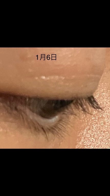 ラッシュアディクト アイラッシュコンディショニングセラム/soaddicted/まつげ美容液を使ったクチコミ(4枚目)