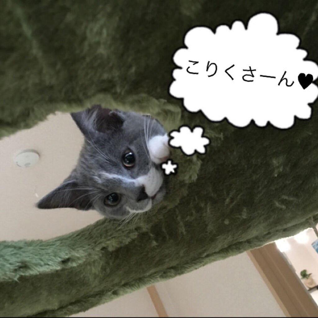 UR GLAM　BLOOMING EYE COLOR PALETTE 03/U R GLAM/アイシャドウパレットを使ったクチコミ（1枚目）